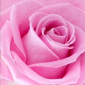 Meet your Posher, Roxanne